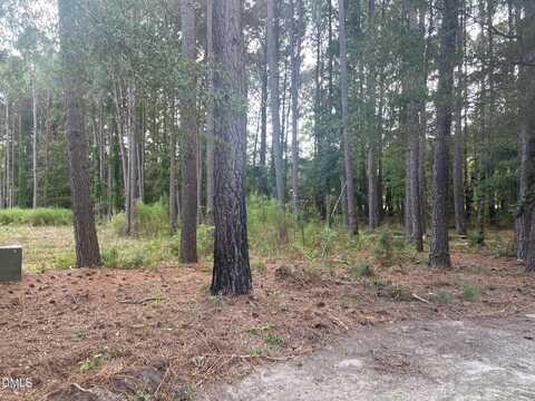 2313 Rigney Court, Willow Springs, NC 27592