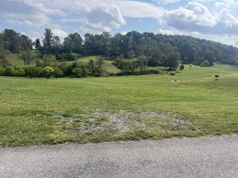 Baskett Road, Limestone, TN 37681