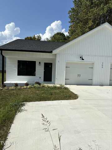 703 Swadley Road, Johnson City, TN 37601