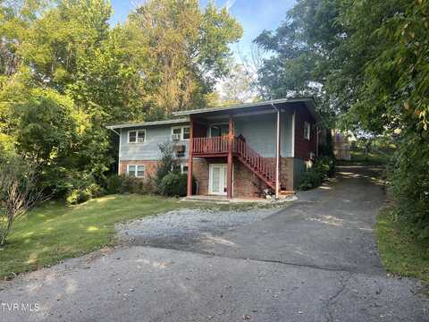 8 Vine Lane, Johnson City, TN 37601