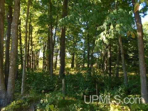TBD Fire Lake, Crystal Falls, MI 49920