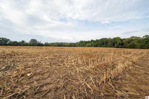 0 State Line Rd E, Hazel, KY 42049