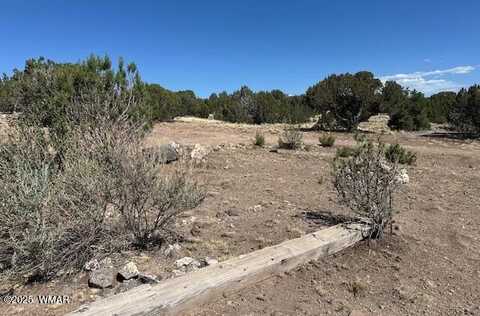 68 County Rd N8171, Concho, AZ 85924