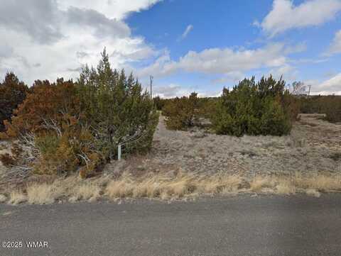 137 Frontage Road, Concho, AZ 85924