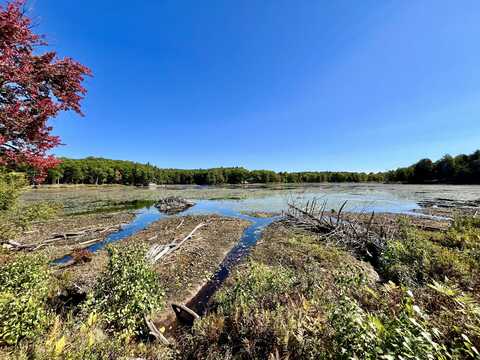 0 Green Pond Lane, Colton, NY 13625