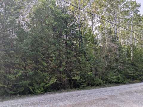 V/L .9 acr Lappan Road, Alpena, MI 49707