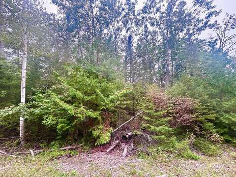 Shoreham Court lot: 217, Presque Isle, MI 49777