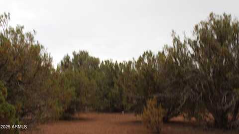 Sec 8 T11N, R22E: Port Of Parcel 3 --, White Mountain Lake, AZ 85912