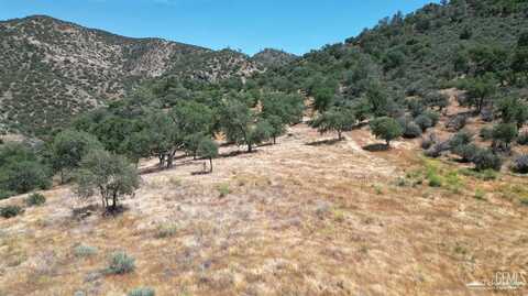 0 Back Canyon Road, Caliente, CA 93518
