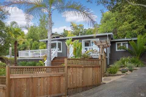 113 Greenwood Avenue, San Rafael, CA 94901