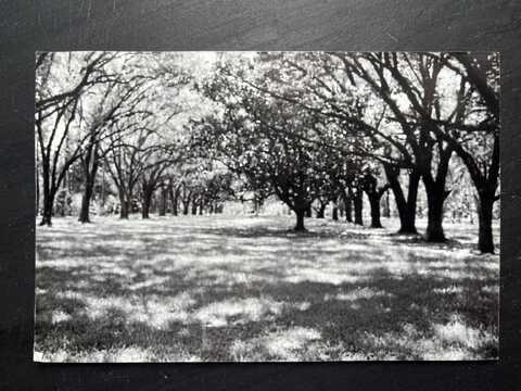 3317 Highway 1, Napoleonville, LA 70390