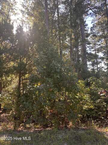 613 Southwind Drive SW, Supply, NC 28462
