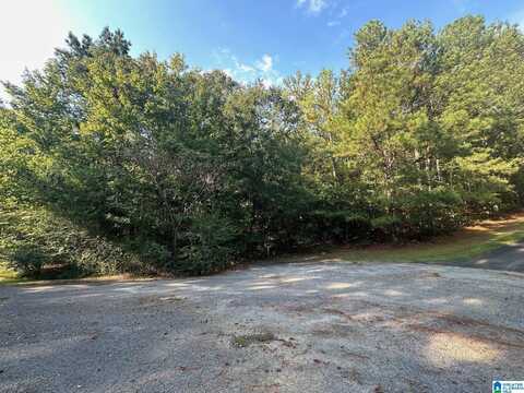 35 LYNNGATE CIRCLE, CROPWELL, AL 35054