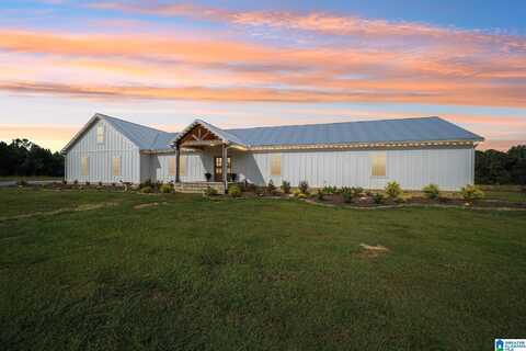 65 KUDZU ROAD, ONEONTA, AL 35121