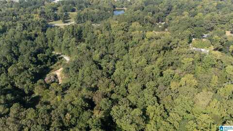 0 MAGNOLIA CIRCLE, CENTREVILLE, AL 35042