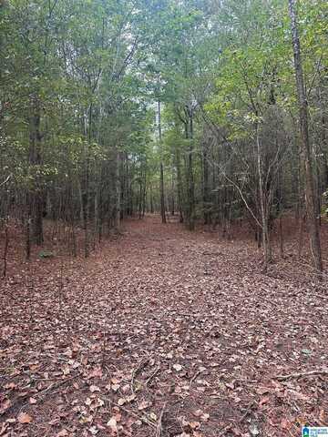 765 FALLVIEW LANE, ODENVILLE, AL 35120