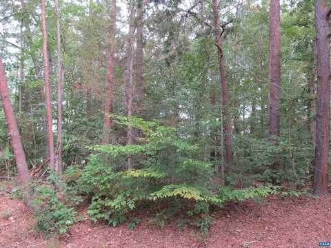 10 ENGLEWOOD DR, PALMYRA, VA 22963