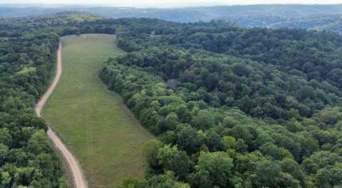 86A Williamson Trail, Guion, AR 72540