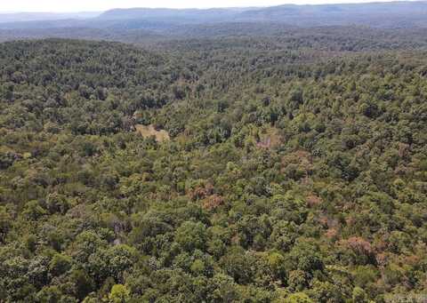 Haw Mountain Cemetery Road, Calico Rock, AR 72519