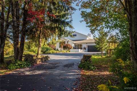 8850 Rohr Hill Road, Ashford, NY 14171