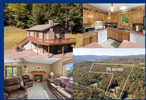 815 Covert Hollow Road, Hamden, NY 13782