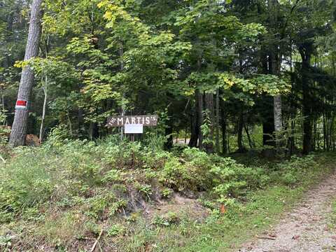 6307 N BLACK RIVER ROAD, NAUBINWAY, MI 49762