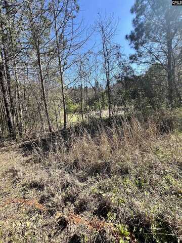W S Wakefield RD, Columbia, SC 29203