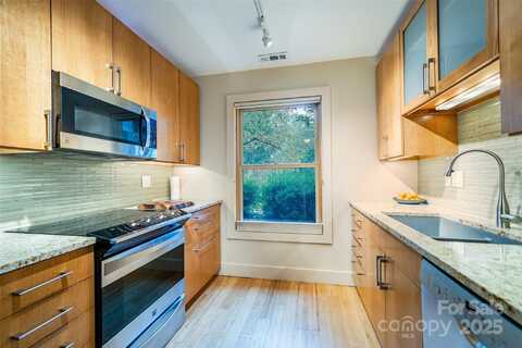 16 Spears Avenue unit: 3, Asheville, NC 28801
