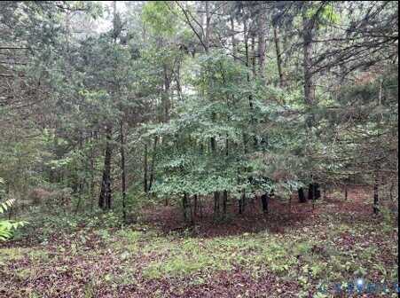 Oakencroft Lane, Goochland, VA 23039