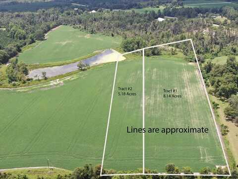Tract 2 Jim Meeks Rd, Nicholls, GA 31554