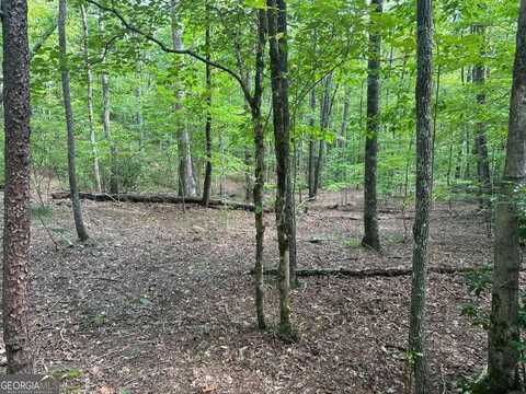 Lot 57 Asheland Cove, Young Harris, GA 30582