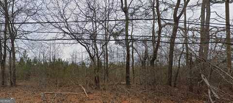 1765 High Falls, Griffin, GA 30223
