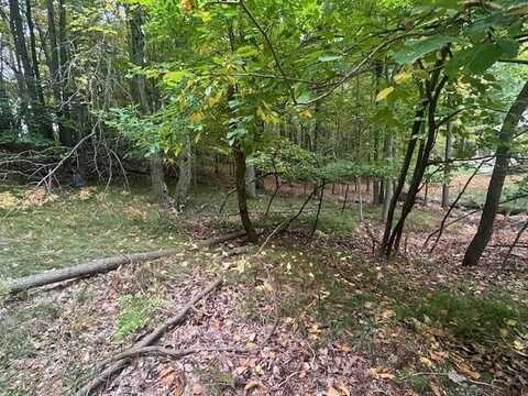 11269 Apache Wells Court, Canadian Lakes, MI 49346