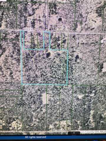 0 E Tyler Road, Twin Lake, MI 49457
