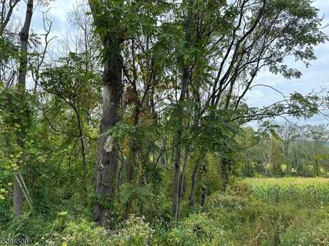 393 Mountain Lake Rd, Liberty Twp., NJ 07838
