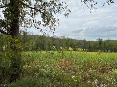 395 Mountain Lake Rd, Liberty Twp., NJ 07838