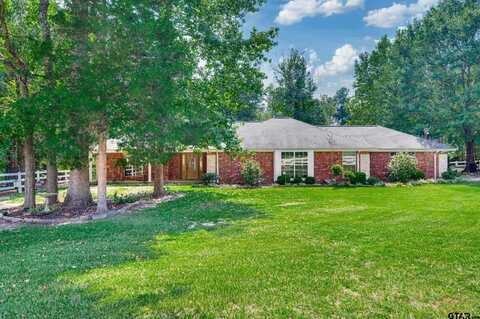3269 AN COUNTY ROAD 153, Palestine, TX 75801