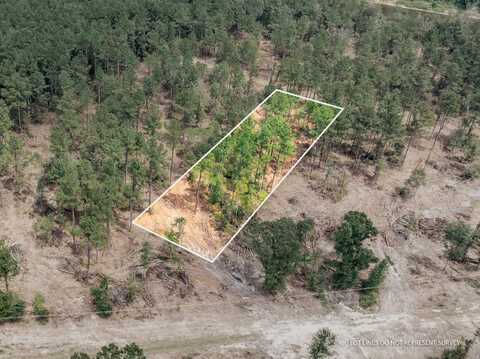 1.01 MOL AC Old Hwy 24 Parcel 15, Mc Lain, MS 39456