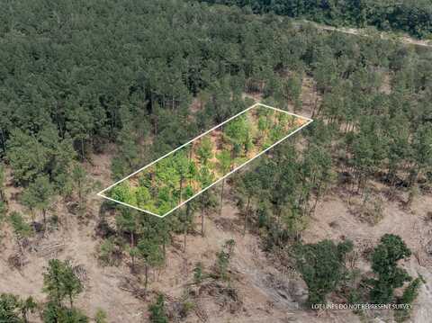 1.05 MOL AC Old Hwy 24 Parcel 14, Mc Lain, MS 39456