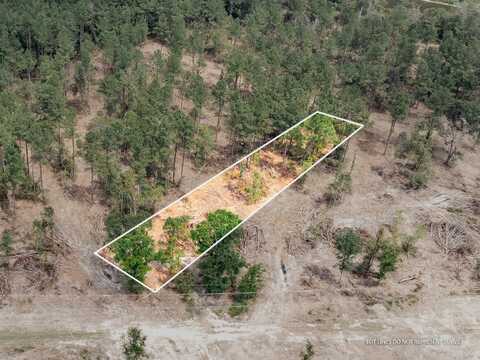 1.01 MOL AC Old Hwy 24 Parcel 16, Mc Lain, MS 39456