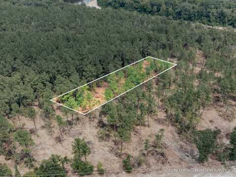 1.05 MOL AC Old Hwy 24 Parcel 13, Mc Lain, MS 39456
