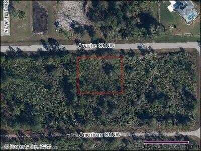 1170 Apache Street NW, Lake Placid, FL 33852