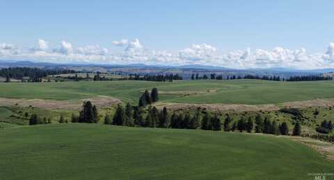 Tbd Basket Rd Parcel 2, Nezperce, ID 83543