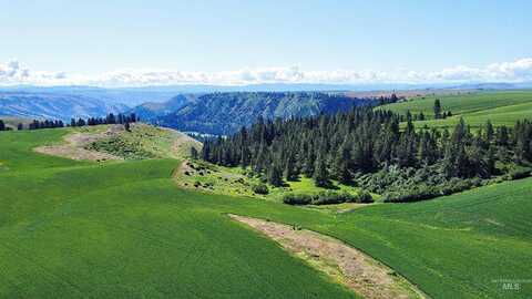 Tbd Basket Rd Parcel 1, Nezperce, ID 83543