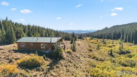 162 S Silk Sisters Pl, Fairplay, CO 80440