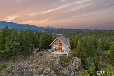 1300 Pine Cone Cir, Ward, CO 80481
