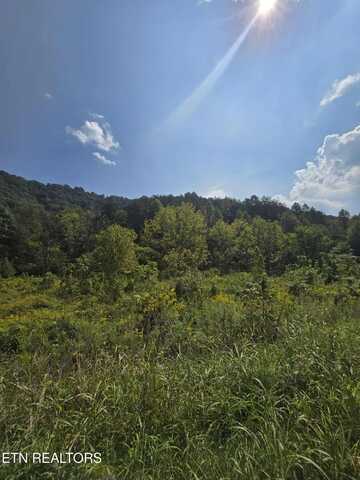 621 Butcher Valley Rd Rd, Rogersville, TN 37857