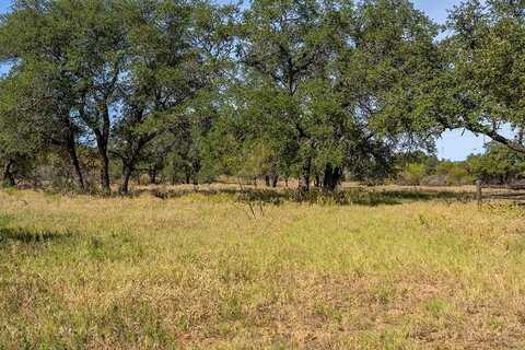 Tract 5 Hwy 87, Mason, TX 76856