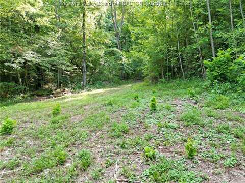 50A Island Branch, Charleston, WV 25320
