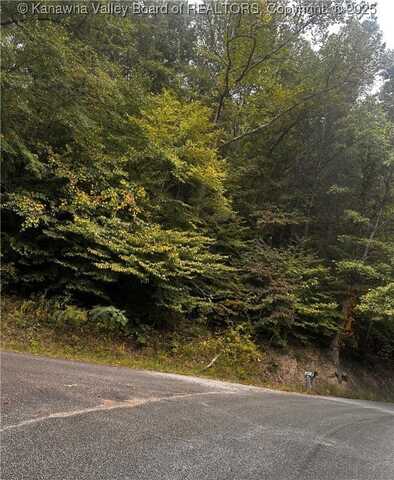 0-1 Dalton Branch, Little Harts Creek Road, Harts, WV 25524